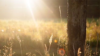 故障恢复的ddos测压网站