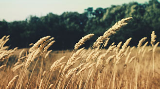 发卡网稳定的ddos攻击ip软件下载